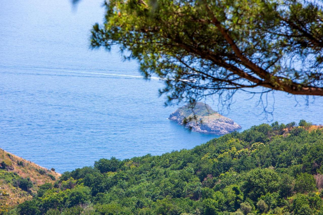 Villa Fedora Sea&Stars Massa Lubrense Exterior photo