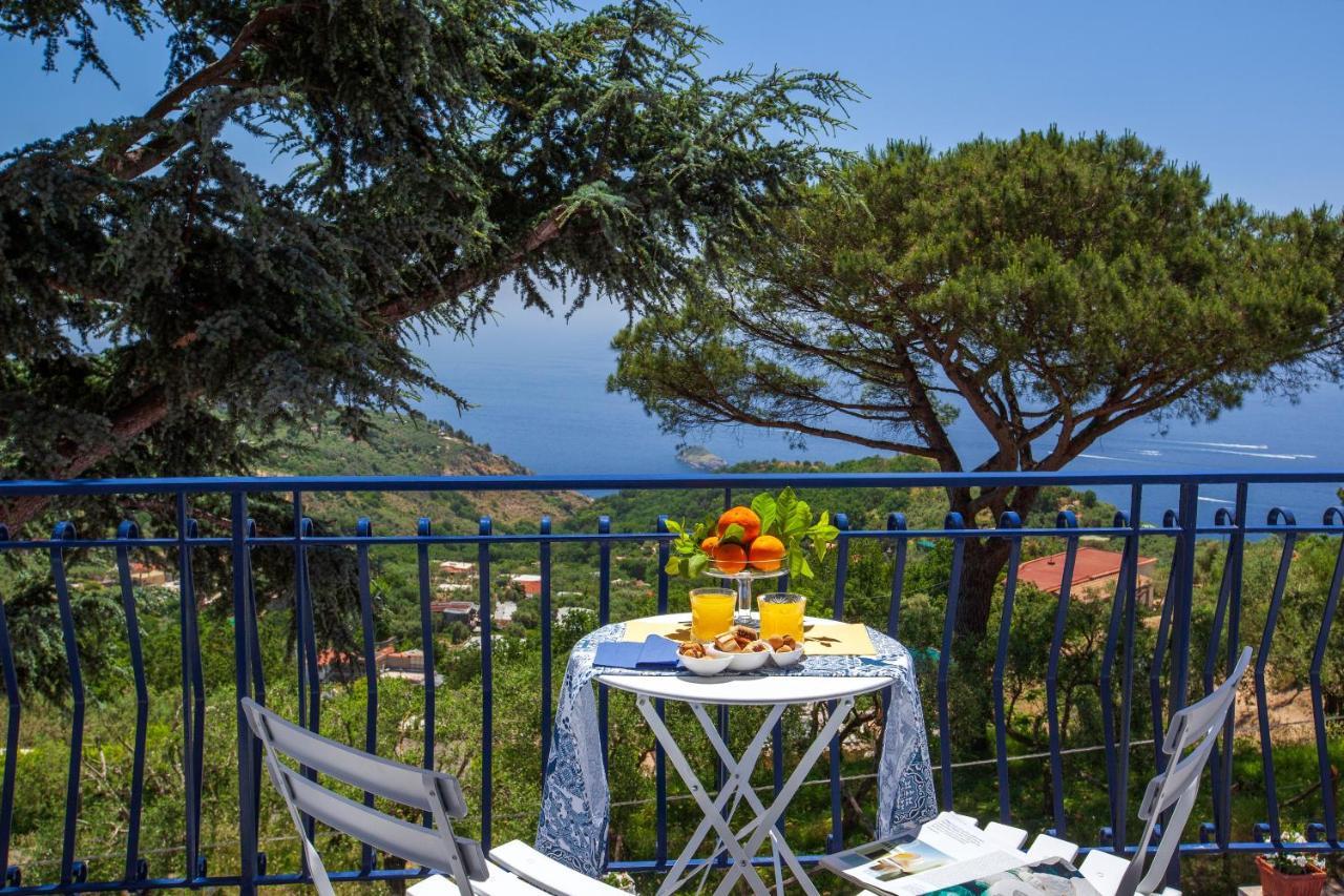 Villa Fedora Sea&Stars Massa Lubrense Exterior photo